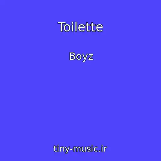 کاور آهنگ Toilette از Boyz