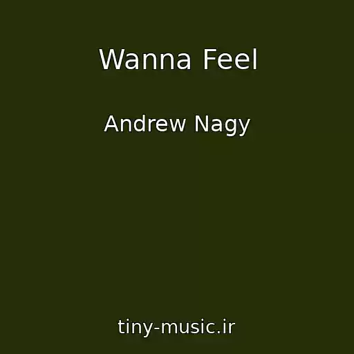 کاور آهنگ Wanna Feel از Andrew Nagy
