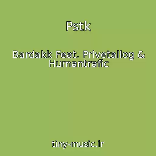 کاور آهنگ Pstk از Bardakk Feat. Privetallog & Humantrafic