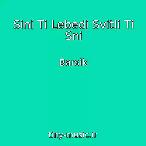 کاور آهنگ Sinі Tі Lebedі Svіtlі Tі Sni از Barsik