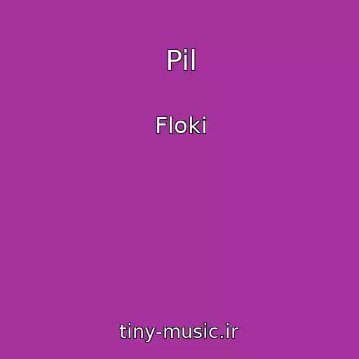 کاور آهنگ Pil از Floki