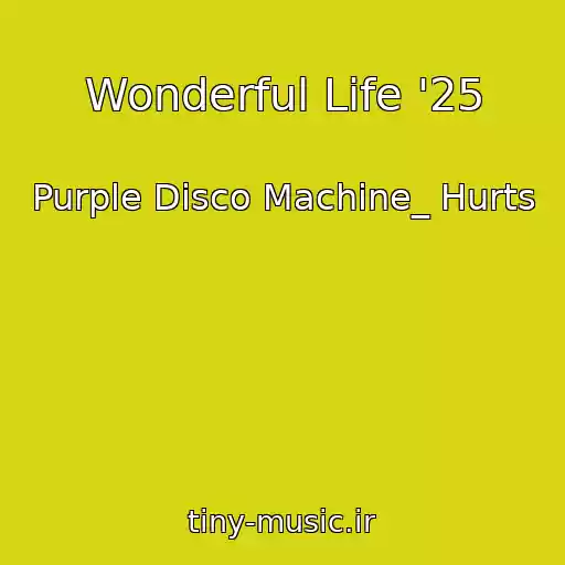 کاور آهنگ Wonderful Life '25 از Purple Disco Machine_ Hurts