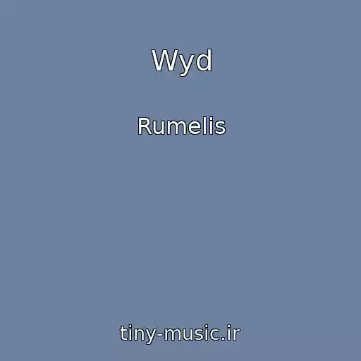 کاور آهنگ Wyd از Rumelis