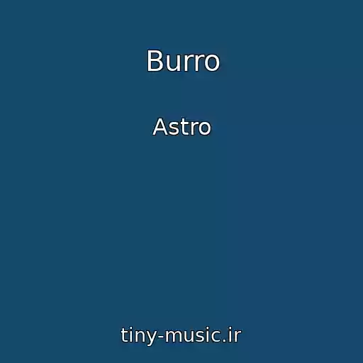 کاور آهنگ Burro از Astro