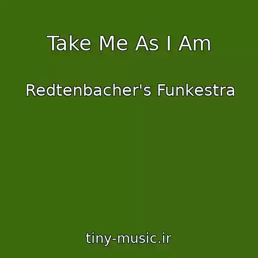 کاور آهنگ Take Me As I Am از Redtenbacher's Funkestra