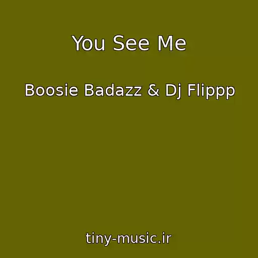 کاور آهنگ You See Me از Boosie Badazz & Dj Flippp