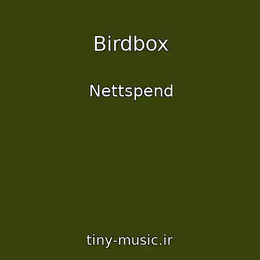 کاور آهنگ Birdbox از Nettspend