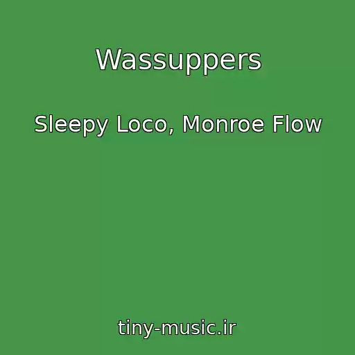 کاور آهنگ Wassuppers از Sleepy Loco, Monroe Flow