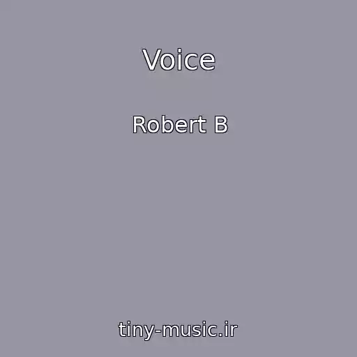 کاور آهنگ Voice از Robert B