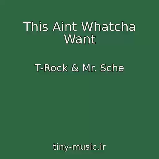 کاور آهنگ This Aint Whatcha Want از T-Rock & Mr. Sche