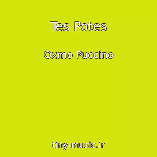 کاور آهنگ Tes Potes از Oxmo Puccino