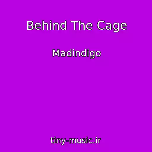 کاور آهنگ Behind The Cage از Madindigo
