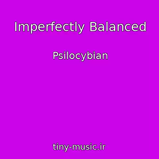 کاور آهنگ Imperfectly Balanced از Psilocybian