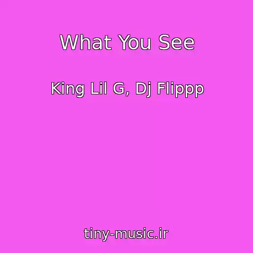 کاور آهنگ What You See از King Lil G, Dj Flippp