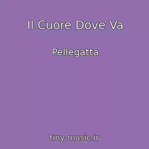 کاور آهنگ Il Cuore Dove Va از Pellegatta