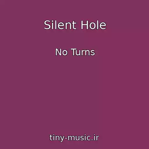کاور آهنگ Silent Hole از No Turns