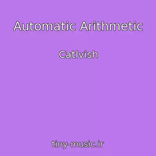 کاور آهنگ Automatic Arithmetic از Catlvish