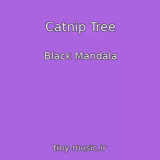 کاور آهنگ Catnip Tree از Black Mandala
