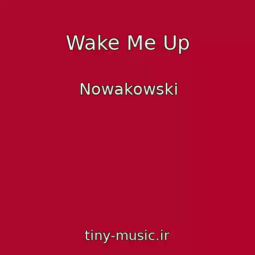 کاور آهنگ Wake Me Up از Nowakowski