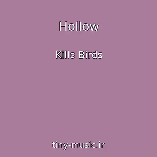 کاور آهنگ Hollow از Kills Birds