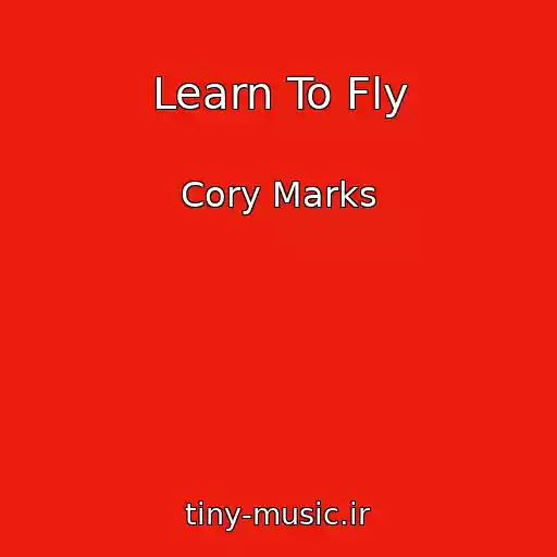 کاور آهنگ Learn To Fly از Cory Marks
