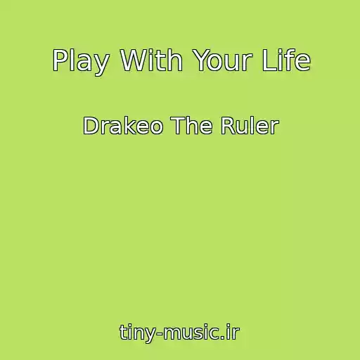 کاور آهنگ Play With Your Life از Drakeo The Ruler