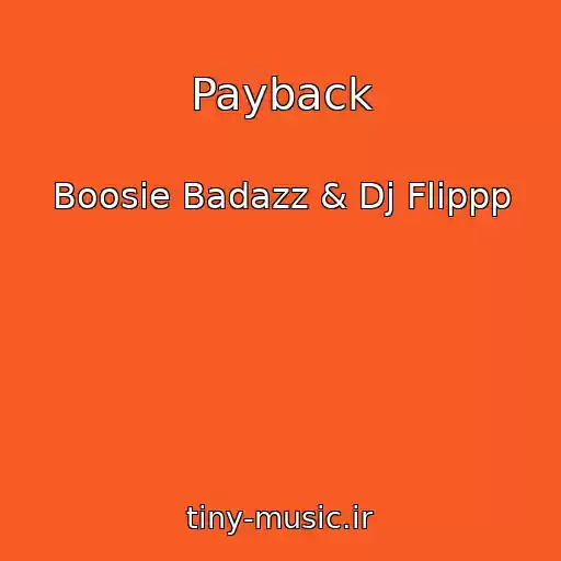 کاور آهنگ Payback از Boosie Badazz & Dj Flippp