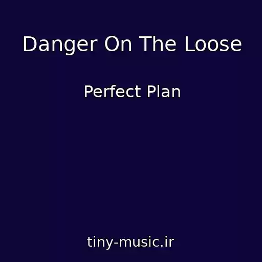 کاور آهنگ Danger On The Loose از Perfect Plan