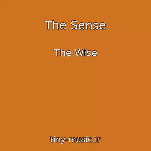 کاور آهنگ The Sense از The Wise