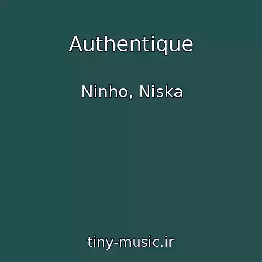 کاور آهنگ Authentique از Ninho, Niska