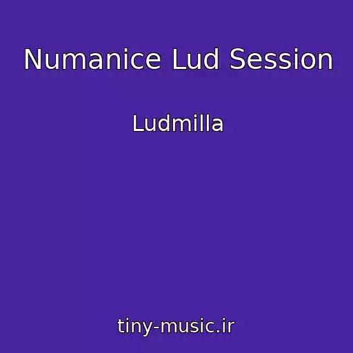 کاور آهنگ Numanice Lud Session از Ludmilla