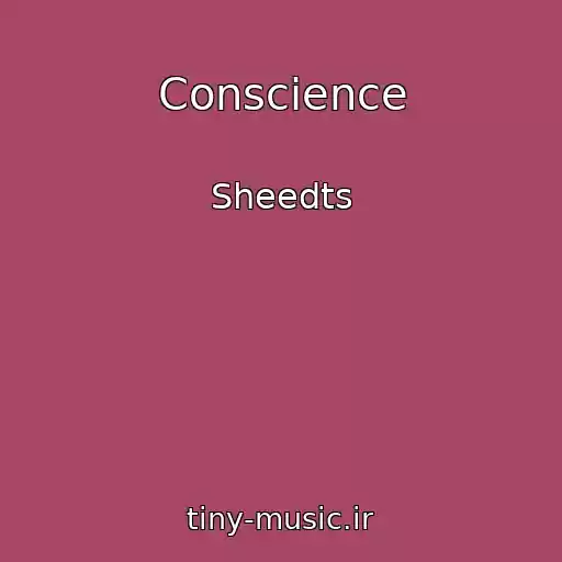 کاور آهنگ Conscience از Sheedts