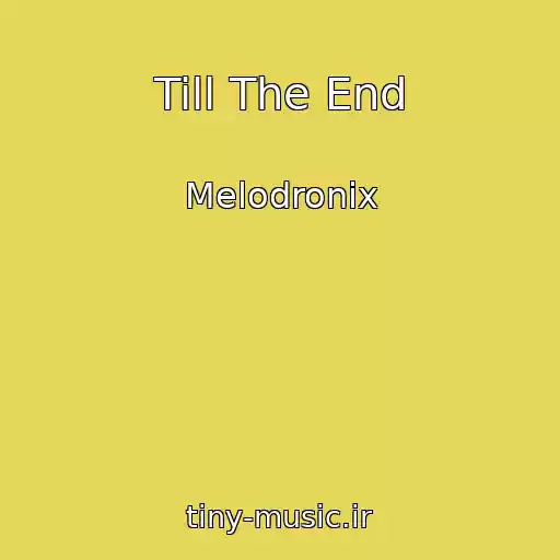 کاور آهنگ Till The End از Melodronix