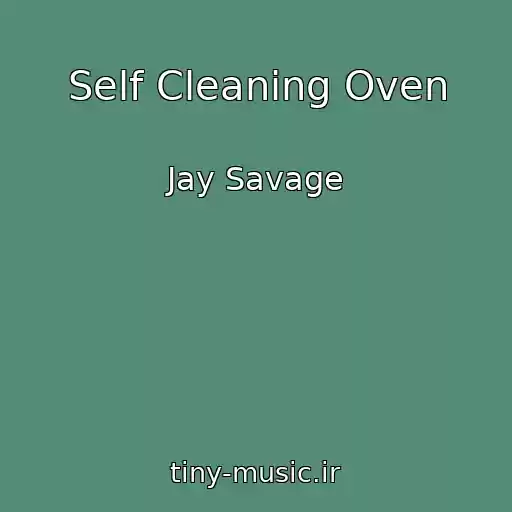 کاور آهنگ Self Cleaning Oven از Jay Savage