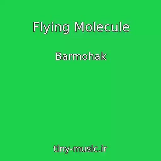 کاور آهنگ Flying Molecule از Barmohak