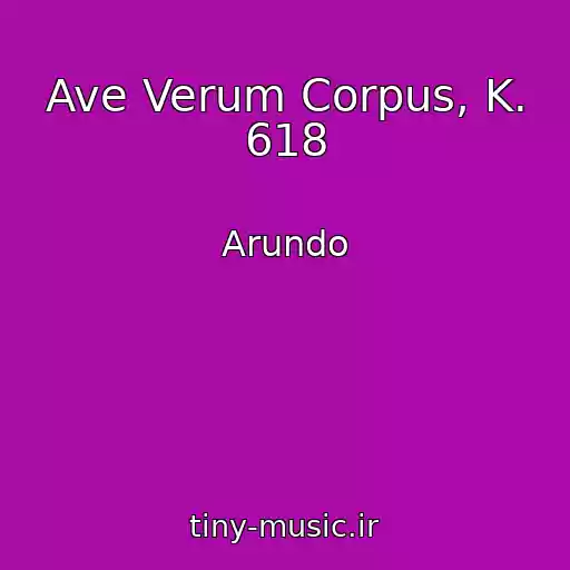 کاور آهنگ Ave Verum Corpus, K. 618 از Arundo