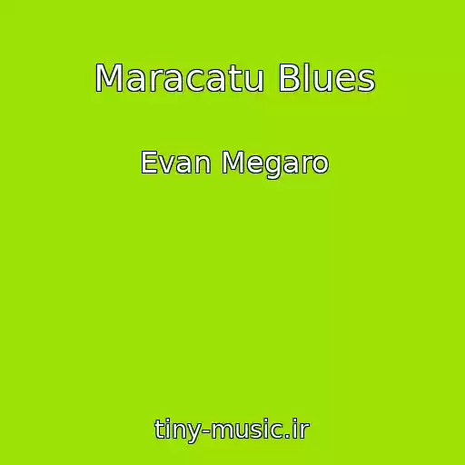 کاور آهنگ Maracatu Blues از Evan Megaro