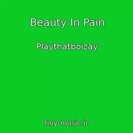 کاور آهنگ Beauty In Pain از Playthatboizay