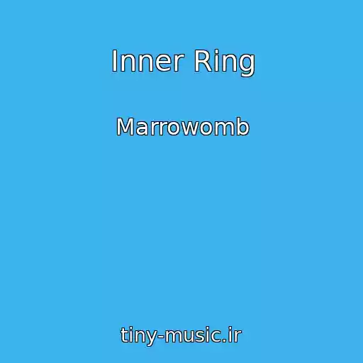 کاور آهنگ Inner Ring از Marrowomb