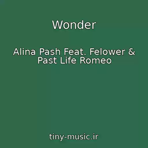 کاور آهنگ Wonder از Alina Pash Feat. Felower & Past Life Romeo