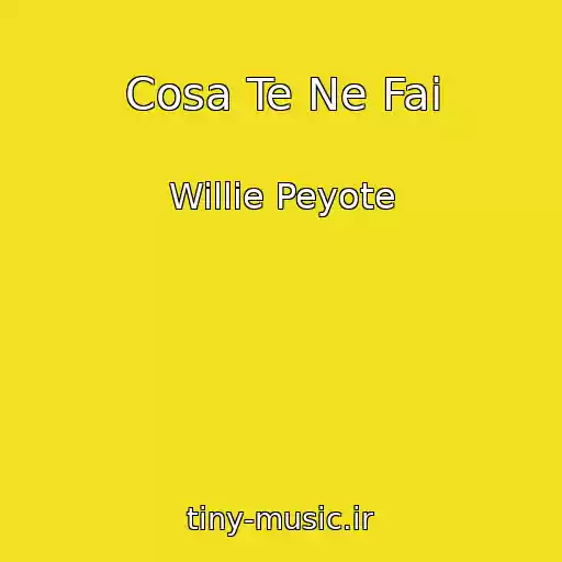 کاور آهنگ Cosa Te Ne Fai از Willie Peyote