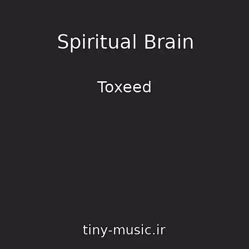 کاور آهنگ Spiritual Brain از Toxeed