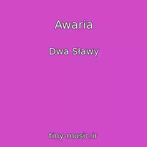 کاور آهنگ Awaria از Dwa Sławy