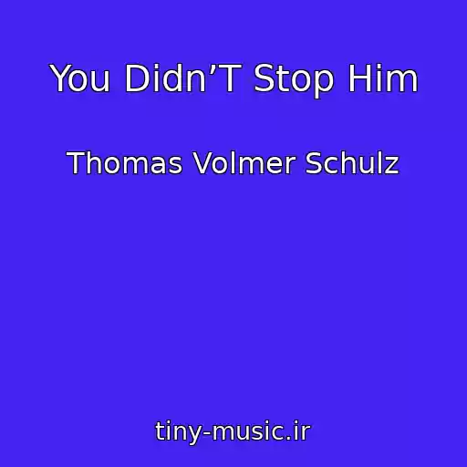 کاور آهنگ You Didn’T Stop Him از Thomas Volmer Schulz