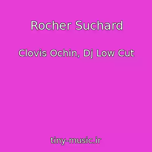 کاور آهنگ Rocher Suchard از Clovis Ochin, Dj Low Cut