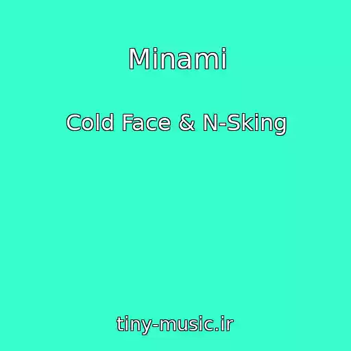 کاور آهنگ Minami از Cold Face & N-Sking