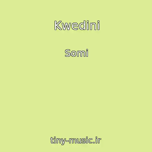 کاور آهنگ Kwedini از Somi