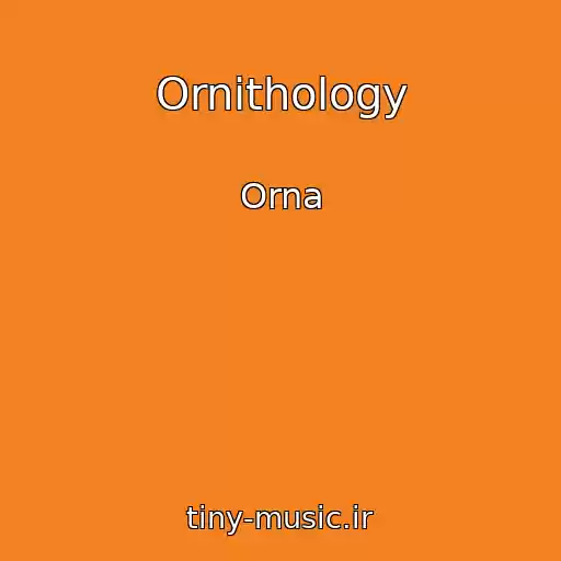 کاور آهنگ Ornithology از Orna