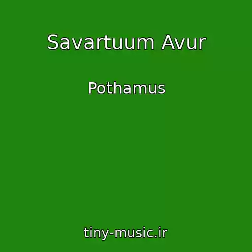 کاور آهنگ Savartuum Avur از Pothamus