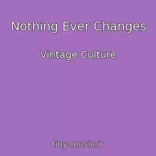 کاور آهنگ Nothing Ever Changes از Vintage Culture